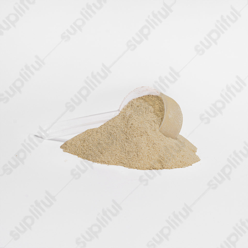 Advanced 100% Whey Protein Isolate (Vanilla)