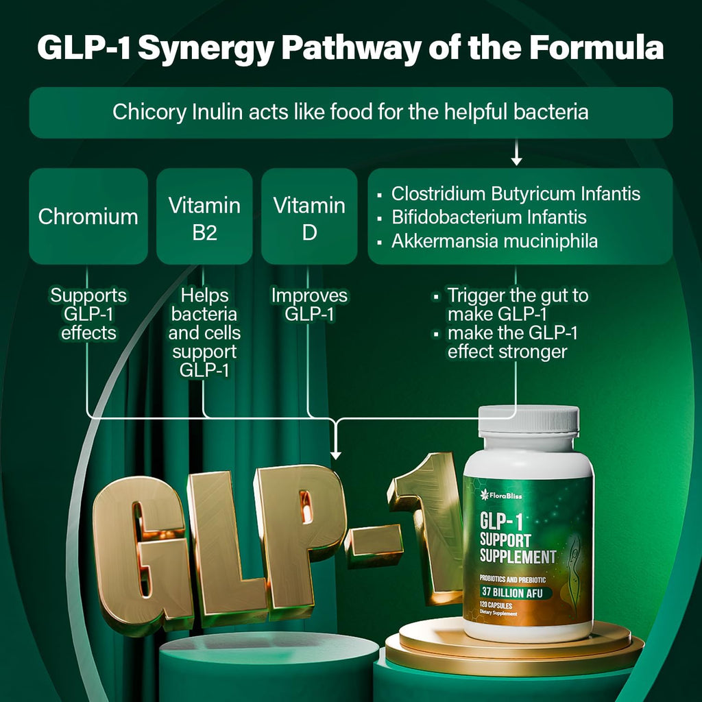 Natural Support Formula | 37 Billion Probiotics – Natural Akkermansia, Chicory Inulin, Berberine - Vitamin D & B2