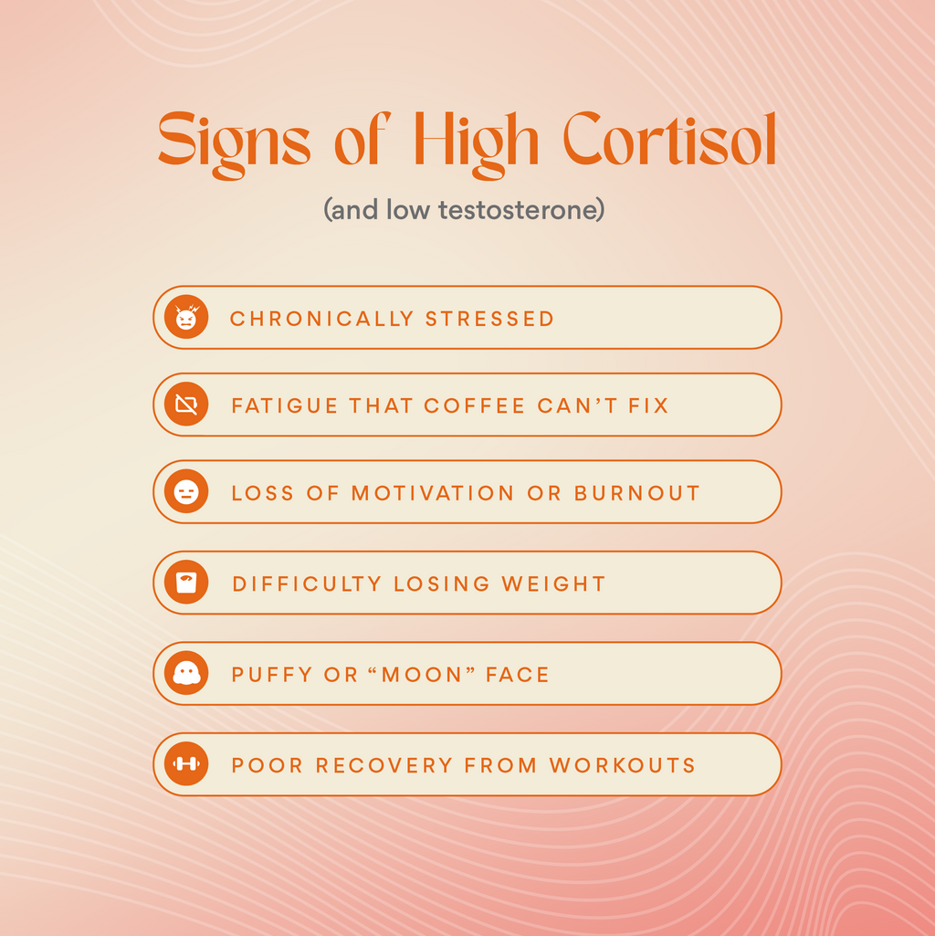 Cortisol, Who?
