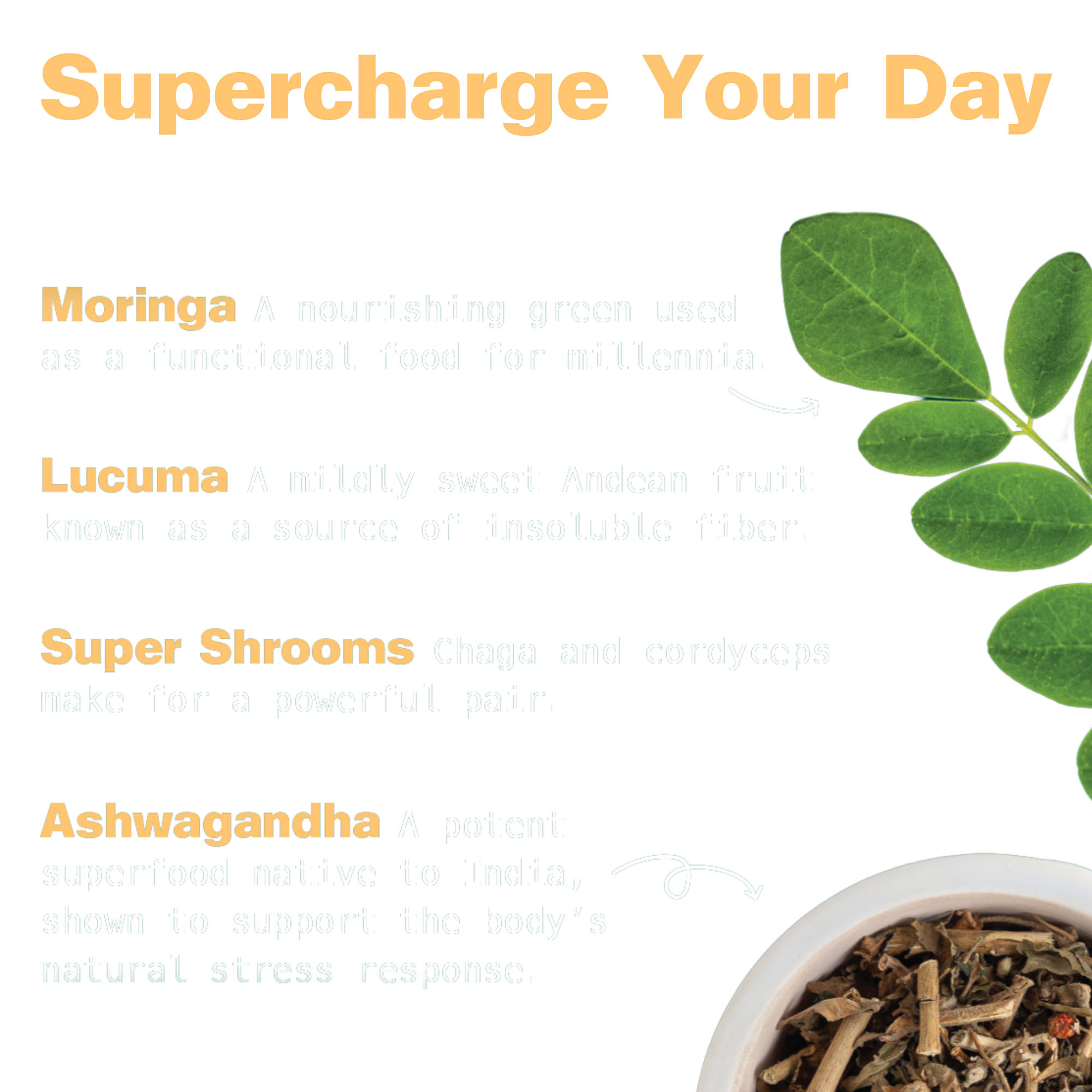Organic Superfood Energy Shake - Chocolate Peanut Butter