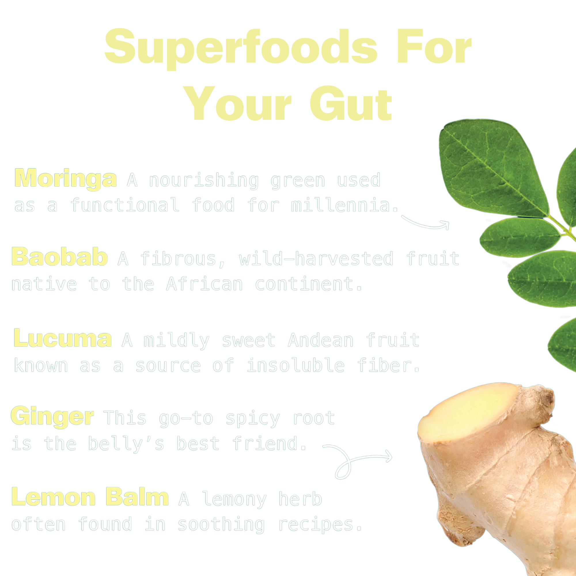 Gut Bliss Superfood Blend